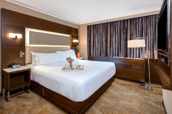 Holiday Inn Brooklyn Downtown image 9